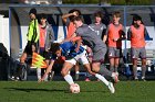 MSoc vs Springfield  Men’s Soccer vs Springfield College in the first round of the 2023 NEWMAC tournament. : Wheaton, MSoccer, MSoc, Men’s Soccer, NEWMAC